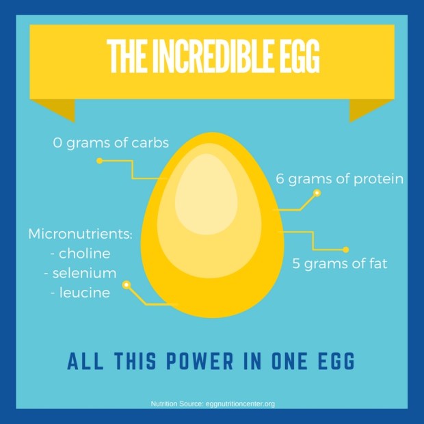 egg-nutrition1